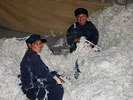 Sorting fleeces in Peru